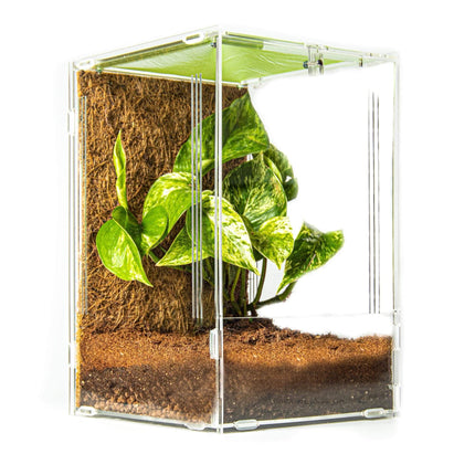 Acrylic Mantis Enclosure