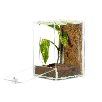 Acrylic Mantis Enclosure