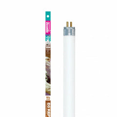 Collection image for: T5 Fluorescent Tubes