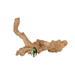 Collection image for: Bird Branches