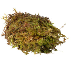 Collection image for: Moss Substrates