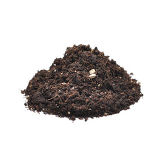 Collection image for: Spider Substrate