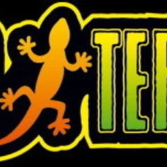 Collection image for: Exo Terra