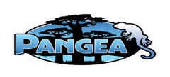 Collection image for: Pangea