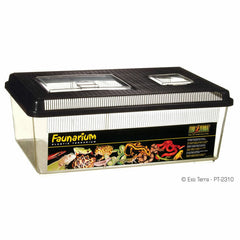 Collection image for: Plastic Terrariums