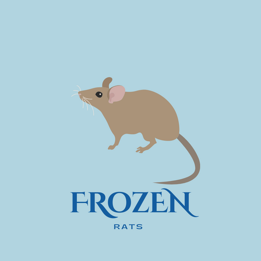 Frozen Rats