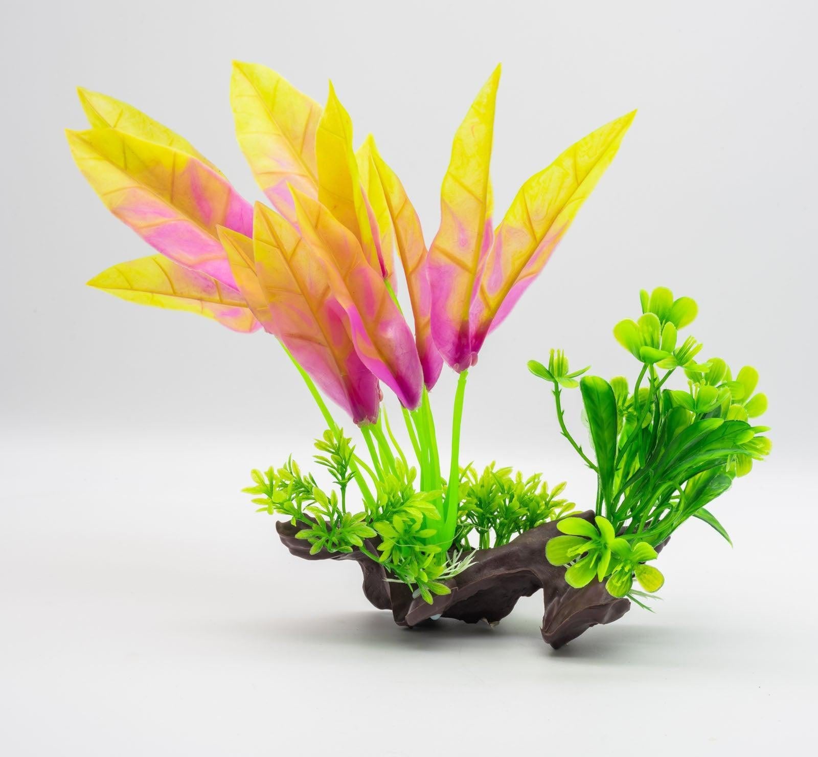 AquaSpectra Sword Leaf on Mulberry, 26cm Medusa Exotics