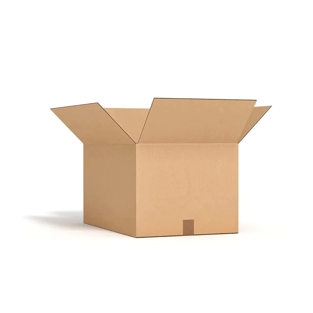 Stick Insect Starter Kit Medusa Exotics