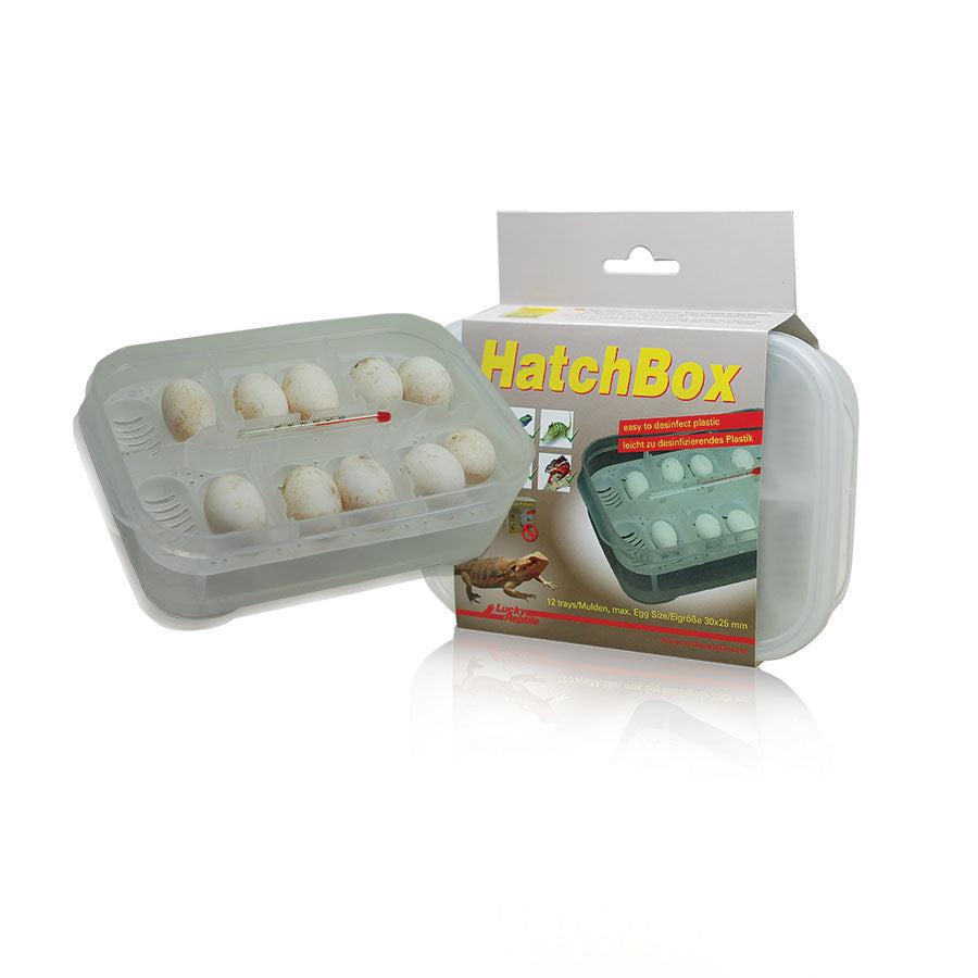 Lucky Reptile Hatchbox Incubation Tray