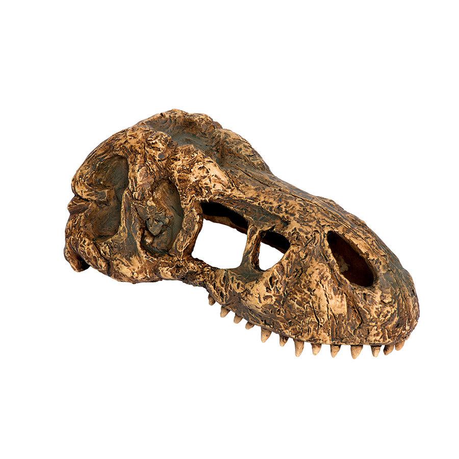 Exo Terra T Rex Skull