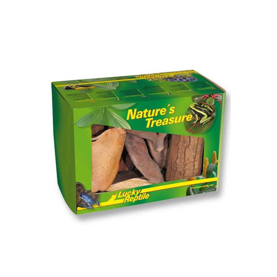 Lucky Reptile Nature's Treasure Decor Box