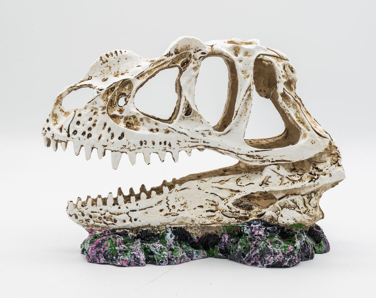 ProRep Resin Ceratosuarus Skull, 19cm