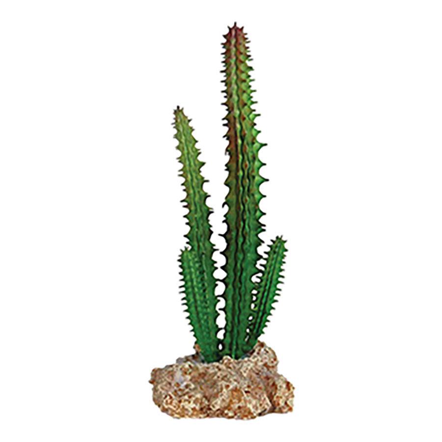 Repstyle Cactus with Rock Base