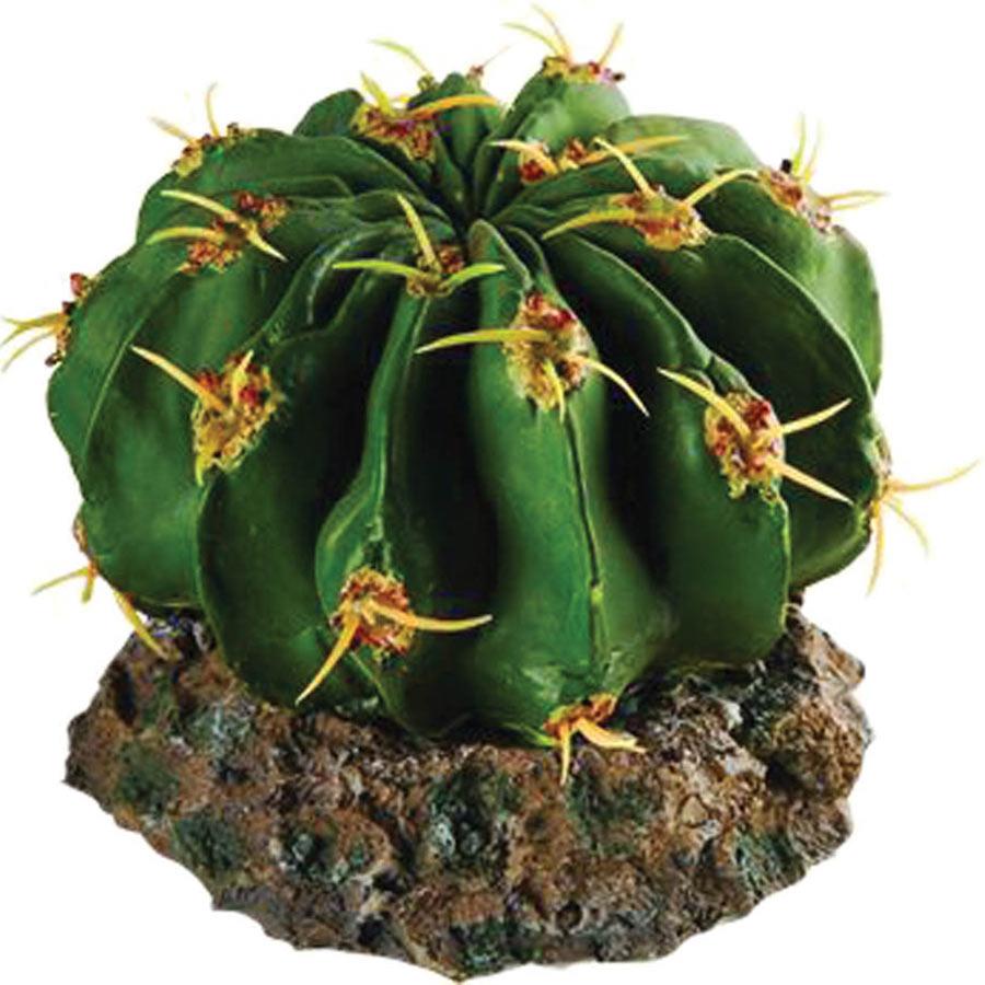 Repstyle Cactus with Rock Base