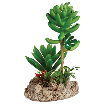 Repstyle Desert Plant with Rock Base