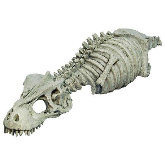 Repstyle Skeleton Dinosaur