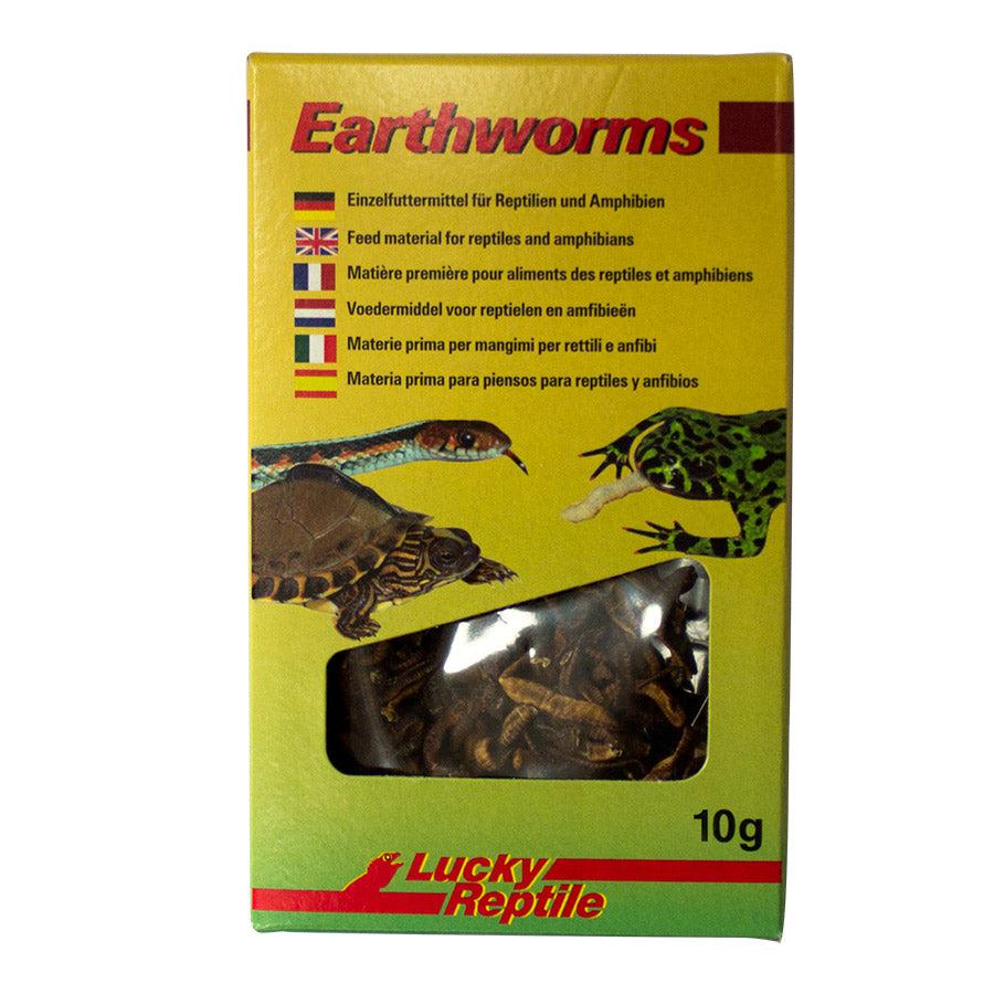 Lucky Reptile Earthworms 10g