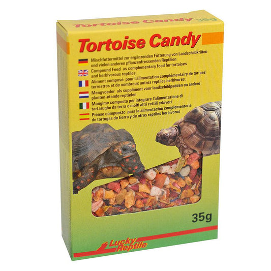 Lucky Reptile Tortoise Candy