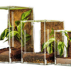 Acrylic Mantis Enclosure