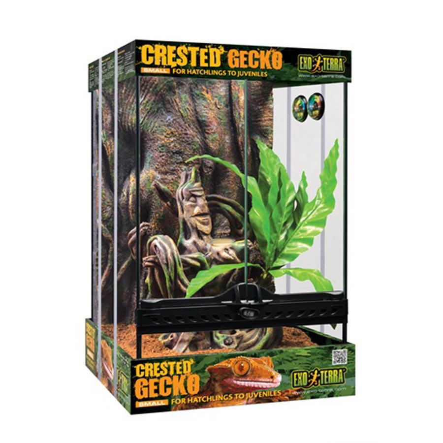 Exo Terra Crested Gecko Kit