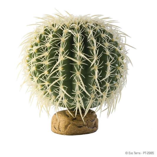 Exo Terra Barrel Cactus