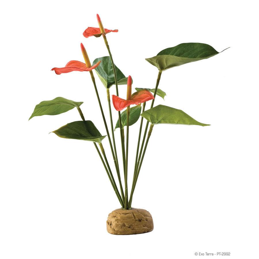 Exo Terra Anthurium Bush