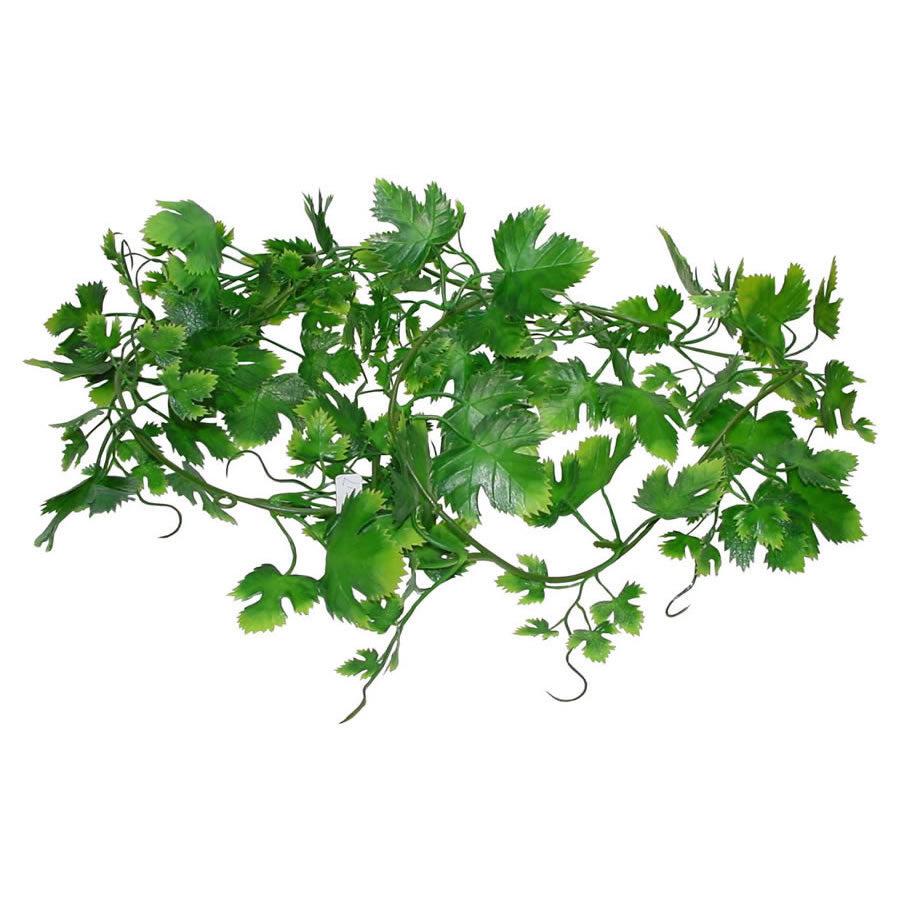 Lucky Reptile Grape Leaf Vine, LP-73