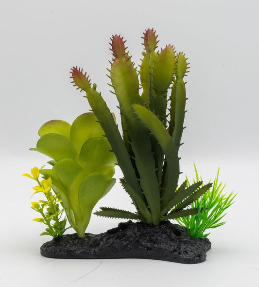 ProRep Euphorbia Plant on Log, 15cm