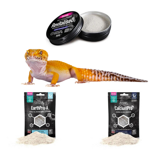 Leopard Gecko Supplement Pack