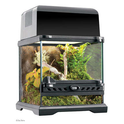 Exo Terra Glass Terrarium (60cm Wide) Medium