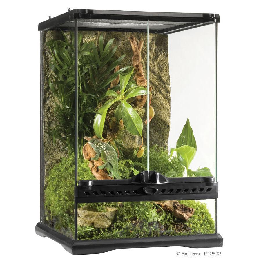 Exo Terra Glass Terrarium (45cm Wide) Small