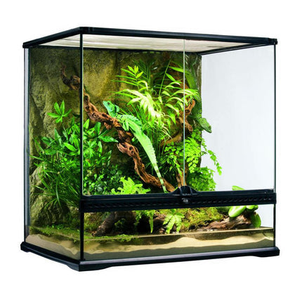 Exo Terra Glass Terrarium (60cm Wide) Medium