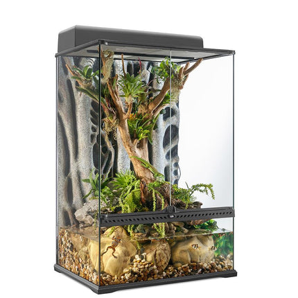 Exo Terra Glass Terrarium (60cm Wide) Medium