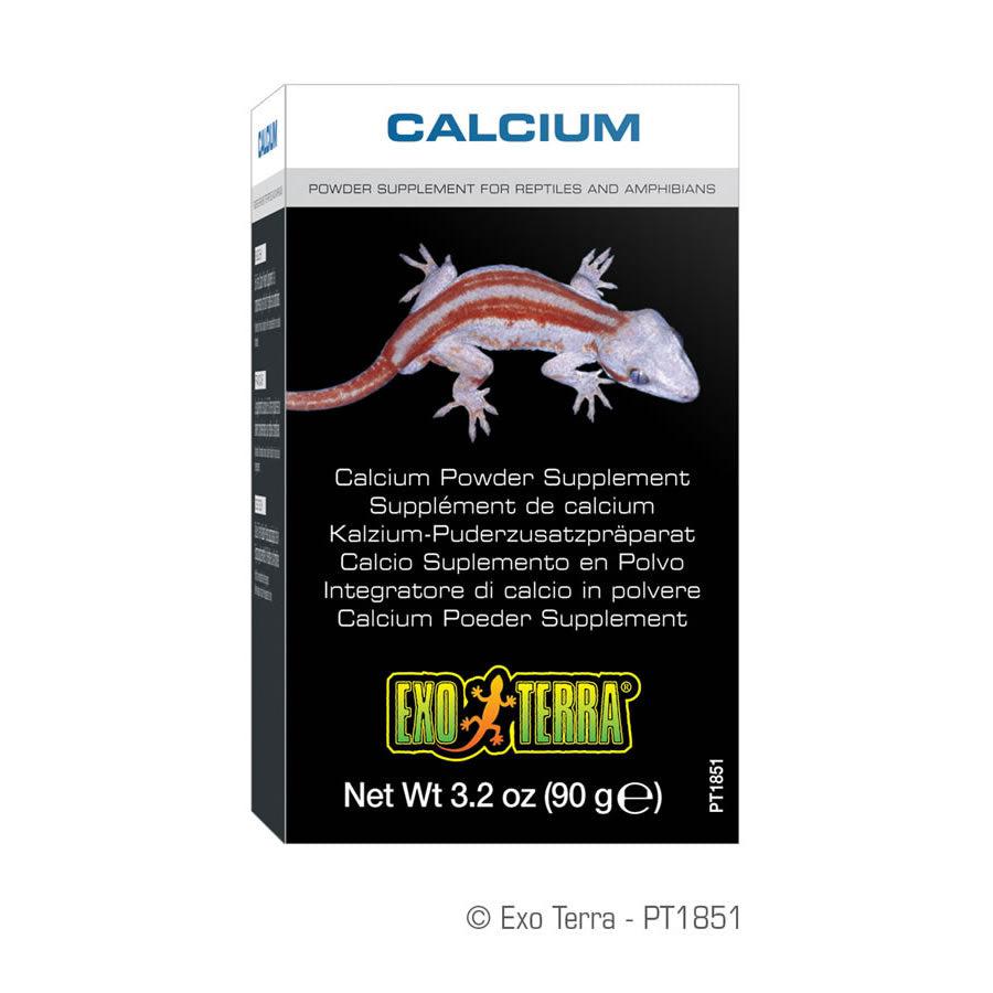 Exo Terra Reptile Calcium (no D3)