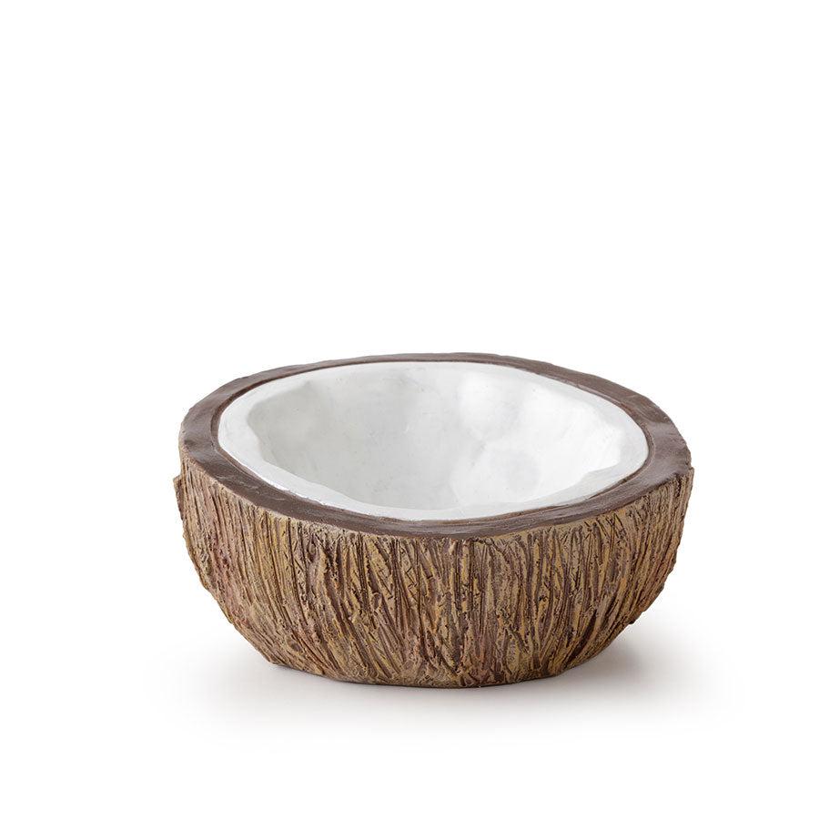 Exo Terra Tiki Coconut Water Dish