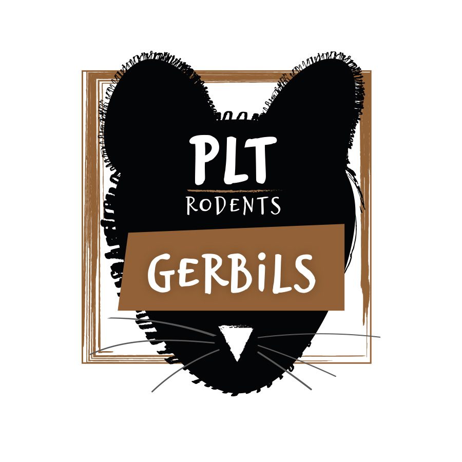 PLT Frozen Gerbils